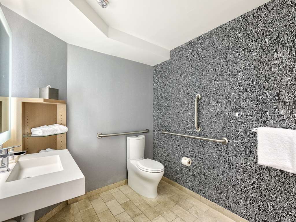 The Royal Sonesta Minneapolis Downtown - photo 38