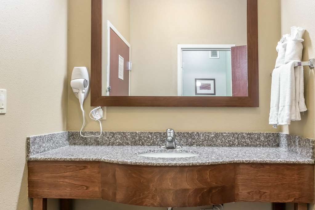 Comfort Inn Columbia Lancaster - photo 20