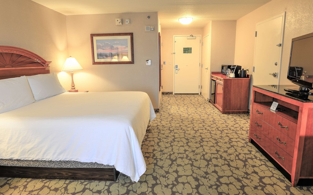ACP Hotel Houston Westchase MOD Collection by Sonesta - photo 16