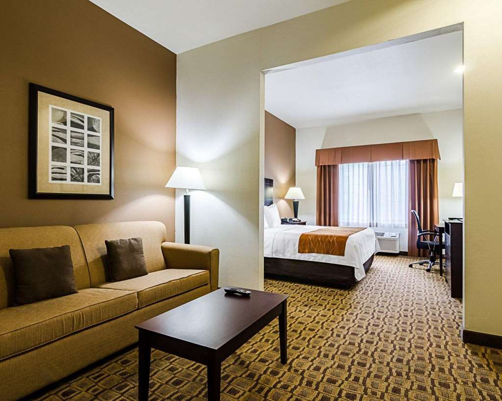 Comfort Inn & Suites Lawrence University Area - photo 22