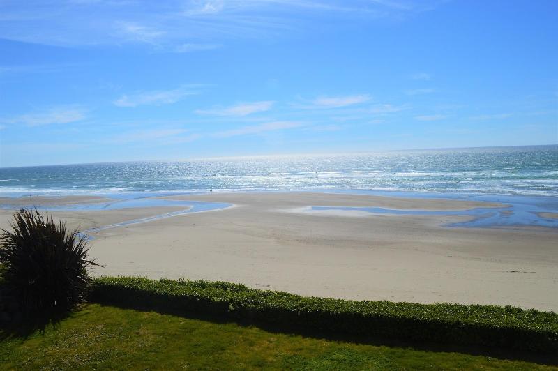 Starfish Manor Oceanfront Hotel - photo 37