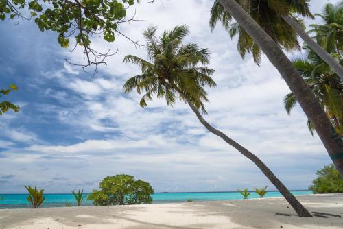 Ithaa Dhigurah Maldives — Dhigurah — photo 2