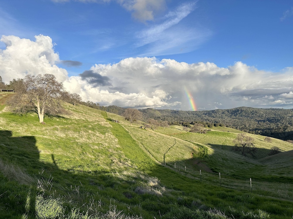 Wildhaven Yosemite Glamping - photo 49