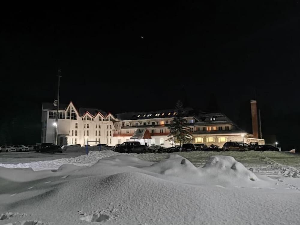 Hotel Iadolina — hotel in Budureasa