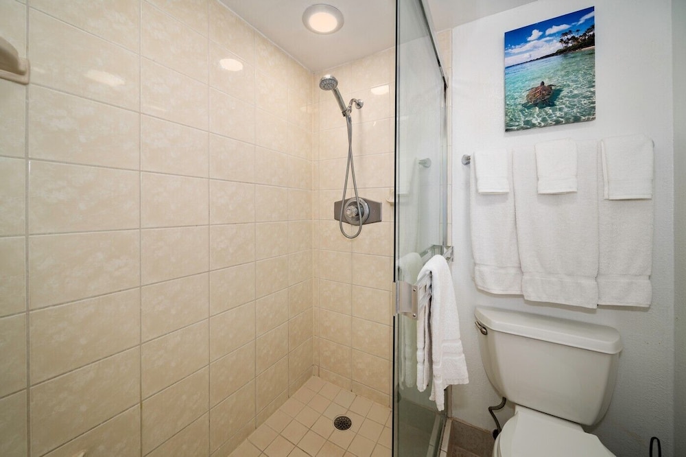 Royal Kahana Maui By Outrigger - photo 751