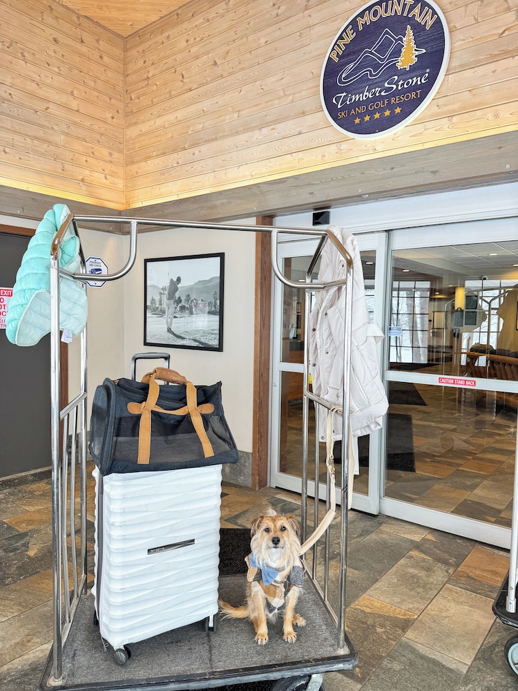 Pine Mountain Ski & Golf Resort - photo 3