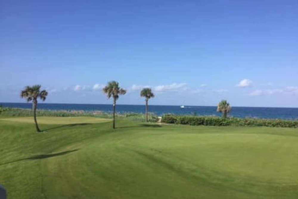 Historic Palm Beach Hotel - photo 42