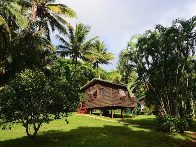 Daintree Rainforest Bungalows — Port Douglas