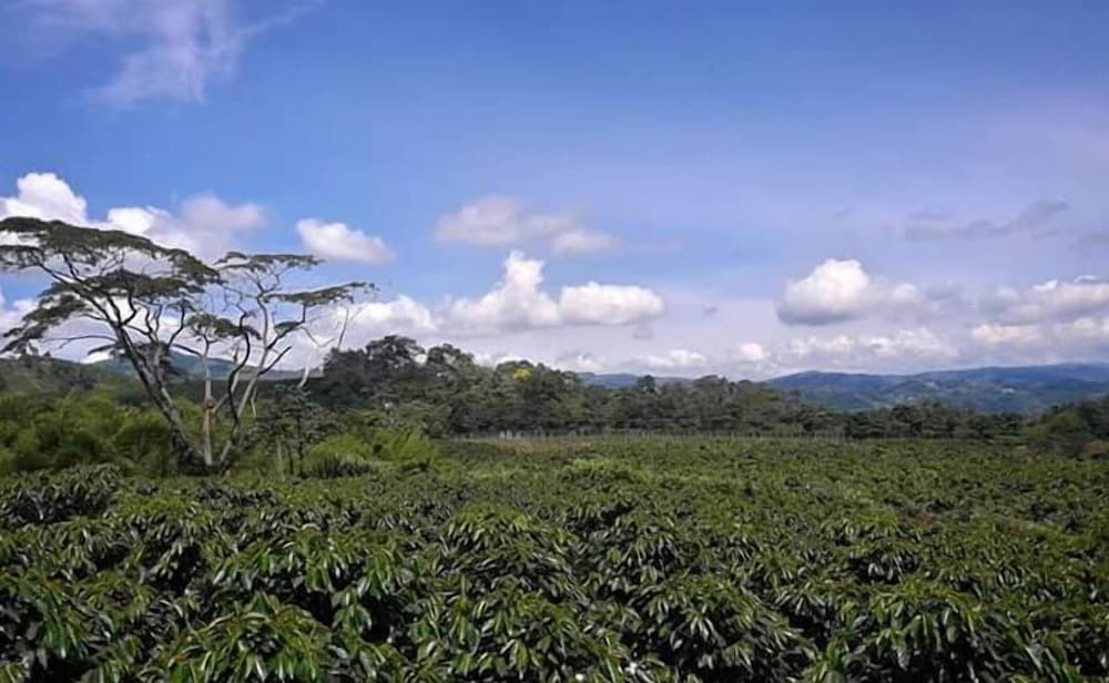 Hacienda Cafetera La Gaviota — hotel in Chinchina