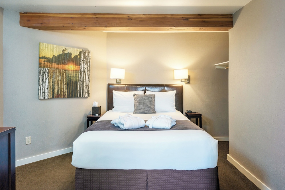 Bird Rock Hotel - photo 24