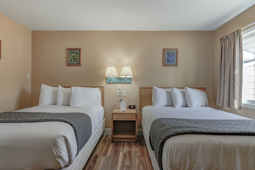 Shasta Pines Motel & Suites - photo 18