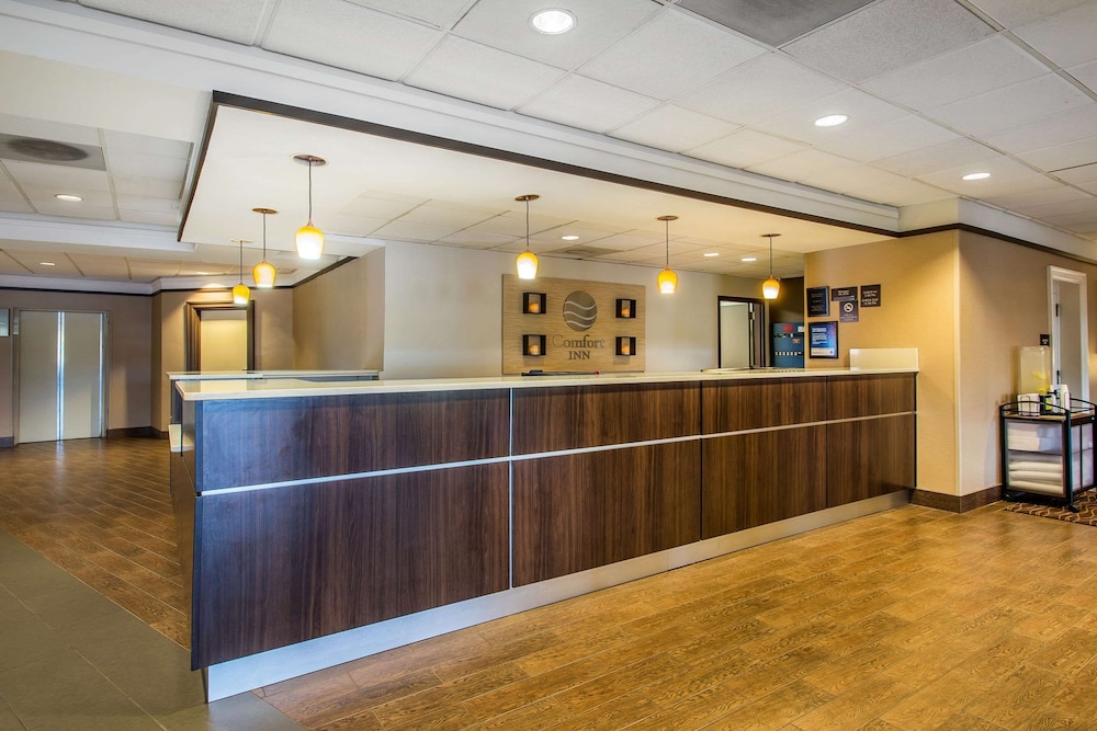 The Adventure Hotel by the parks - photo 4