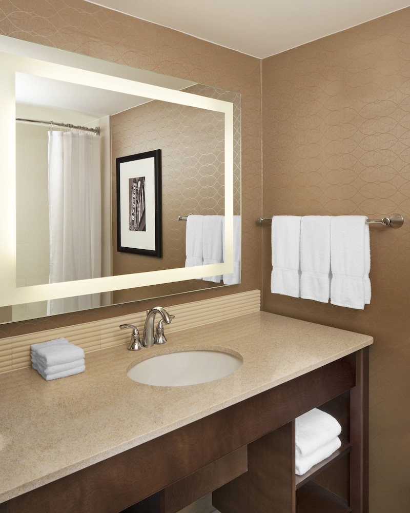 Sheraton Ann Arbor Hotel - photo 34