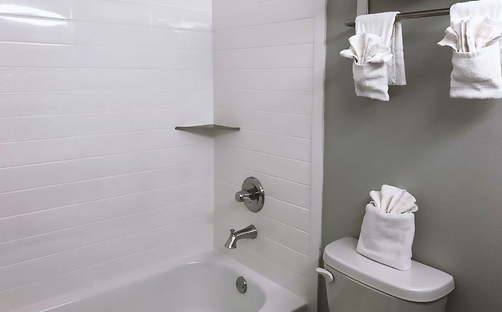 Americas Best Value Inn & Suites San Antonio Arena District - photo 19