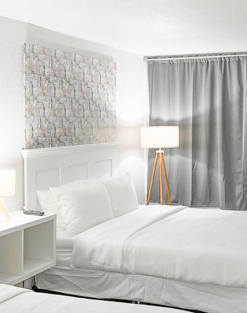 Oneway Savannah - photo 5