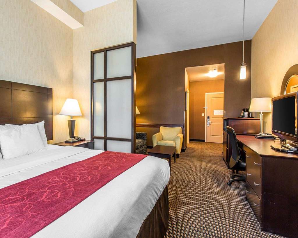 Comfort Suites Near City of Industry Los Angeles - photo 15
