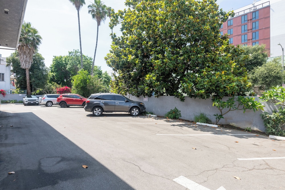 Hollywood City Inn - photo 64