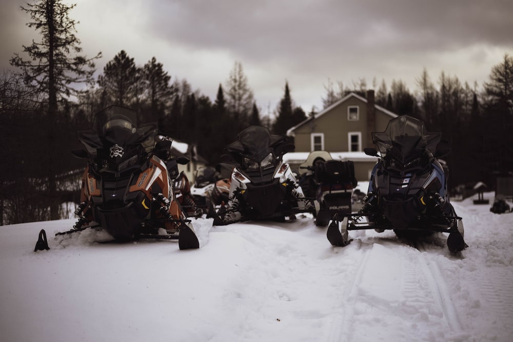 The Balsam Inn - photo 50