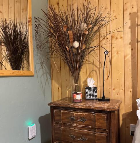 Brandy Bay Hideaway: Pet Friendly Retreat - photo 31