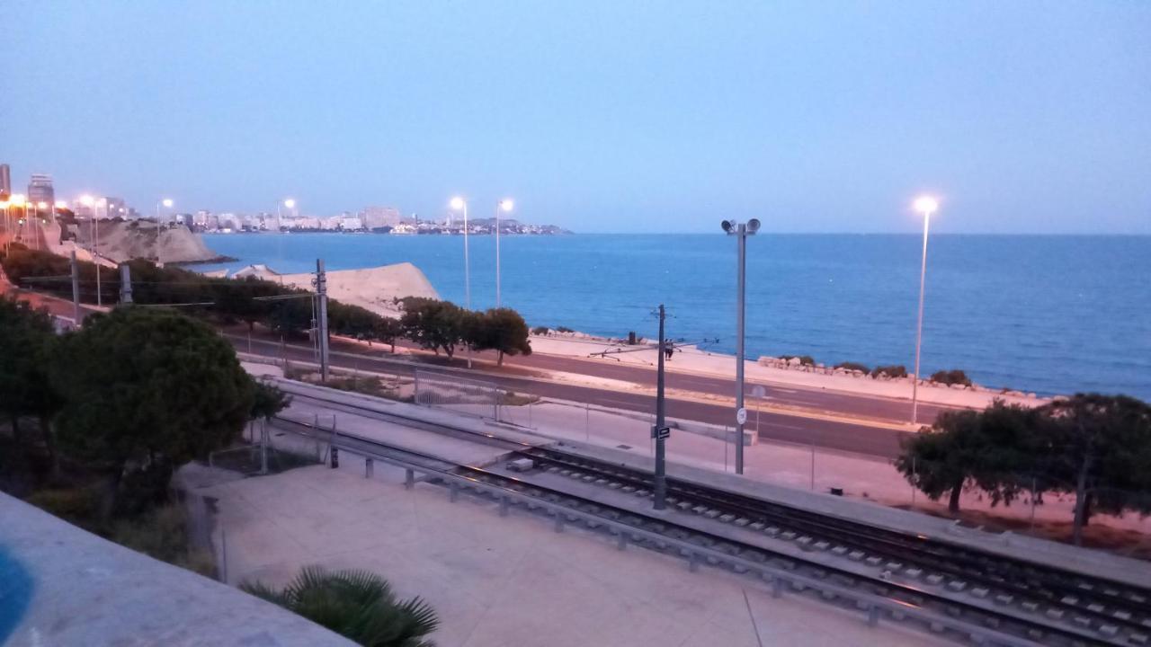 Privileged Setting Close To Plaza Mar 2
