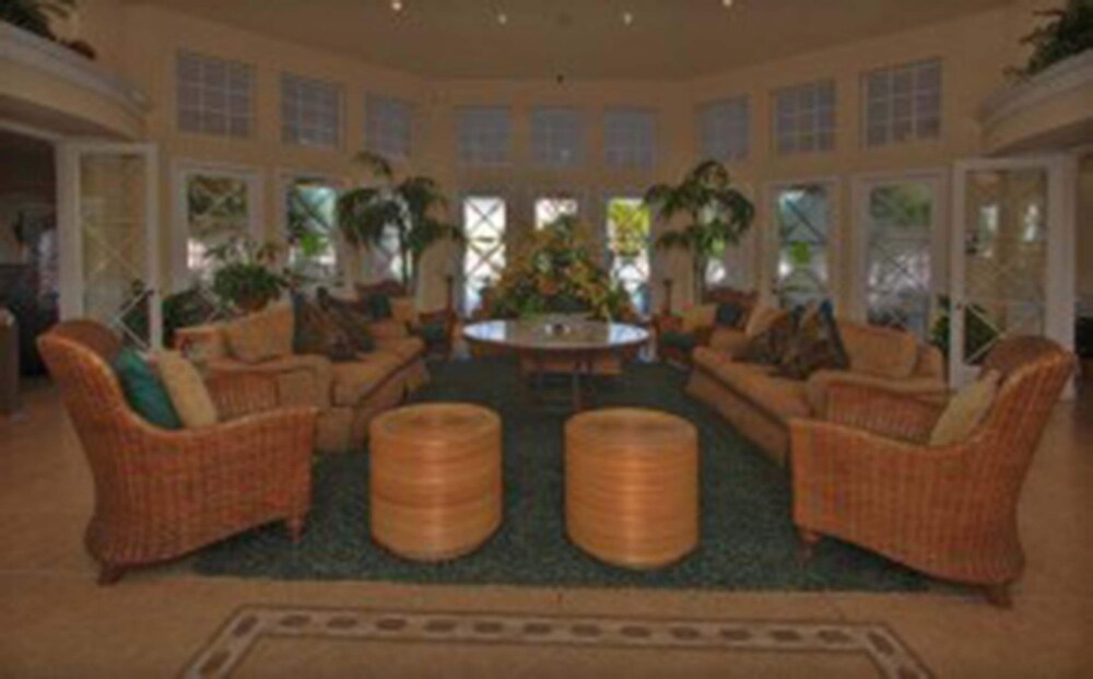 Sun Palm Paradise - photo 53