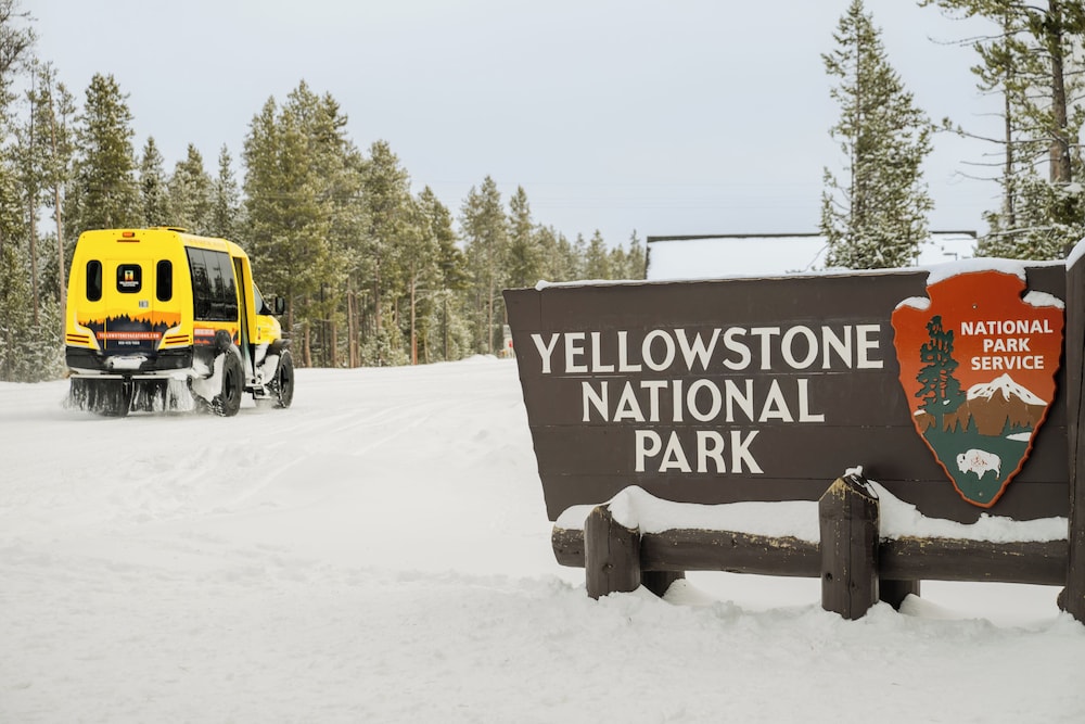 Explorer Cabins At Yellowstone - photo 38