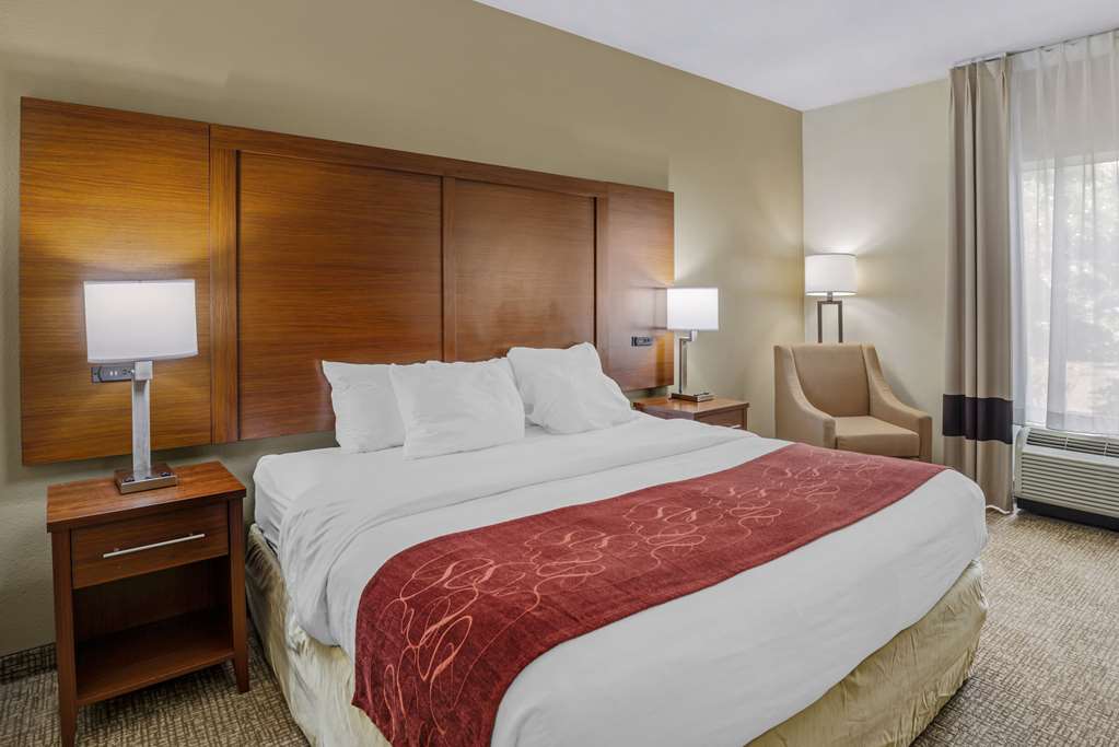 Comfort Suites At Virginia Center Commons - photo 34