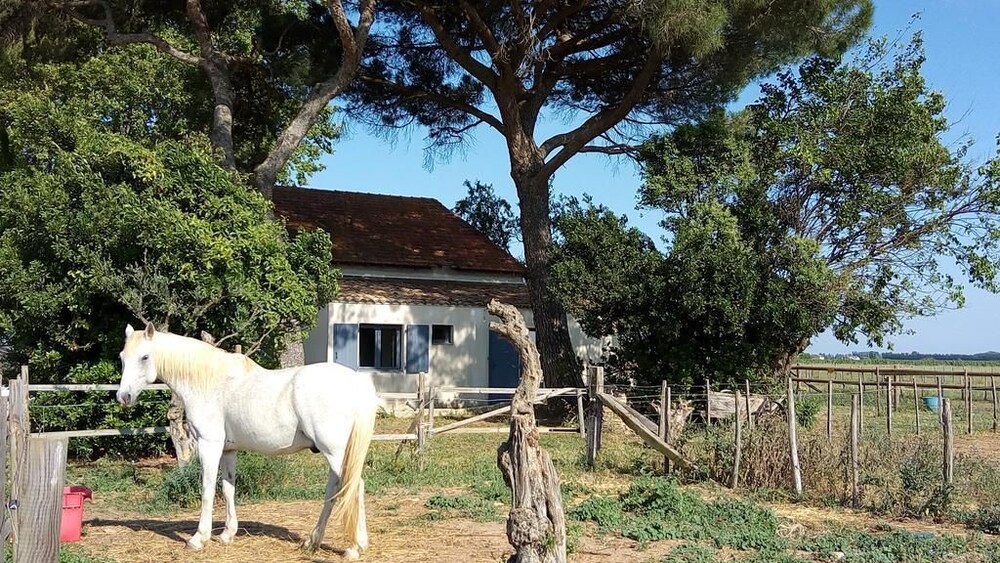 Mas De Reboul Vieux in Lunel, France