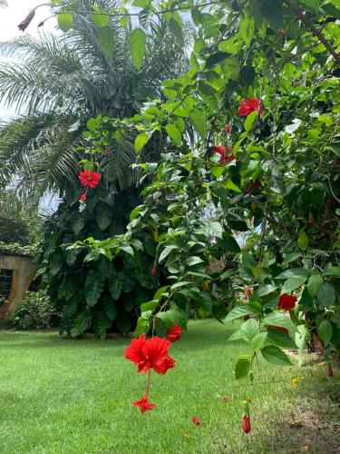 Paracuru Kite Village in Paracuru, Brasil