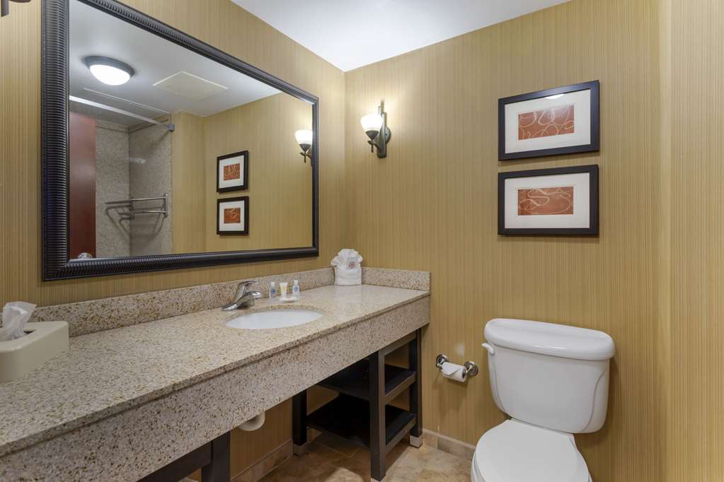 Comfort Suites Kodak Sevierville - photo 8