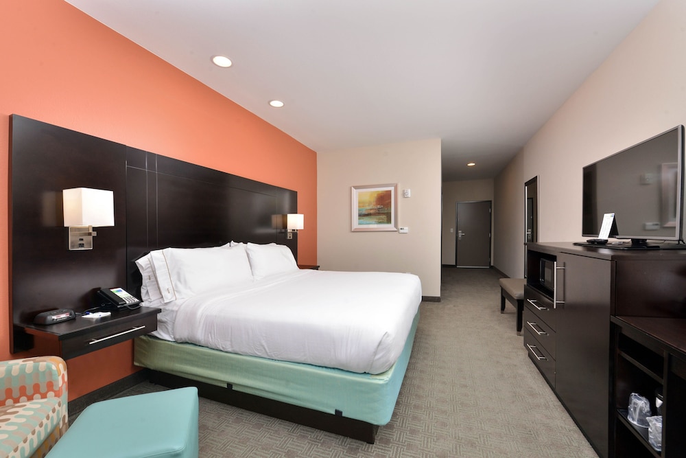 Holiday Inn Express & Suites Austin South by IHG - photo 8