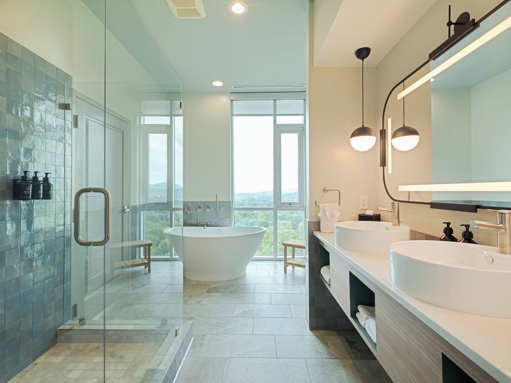 Hotel Indigo Asheville Downtown by IHG - photo 61