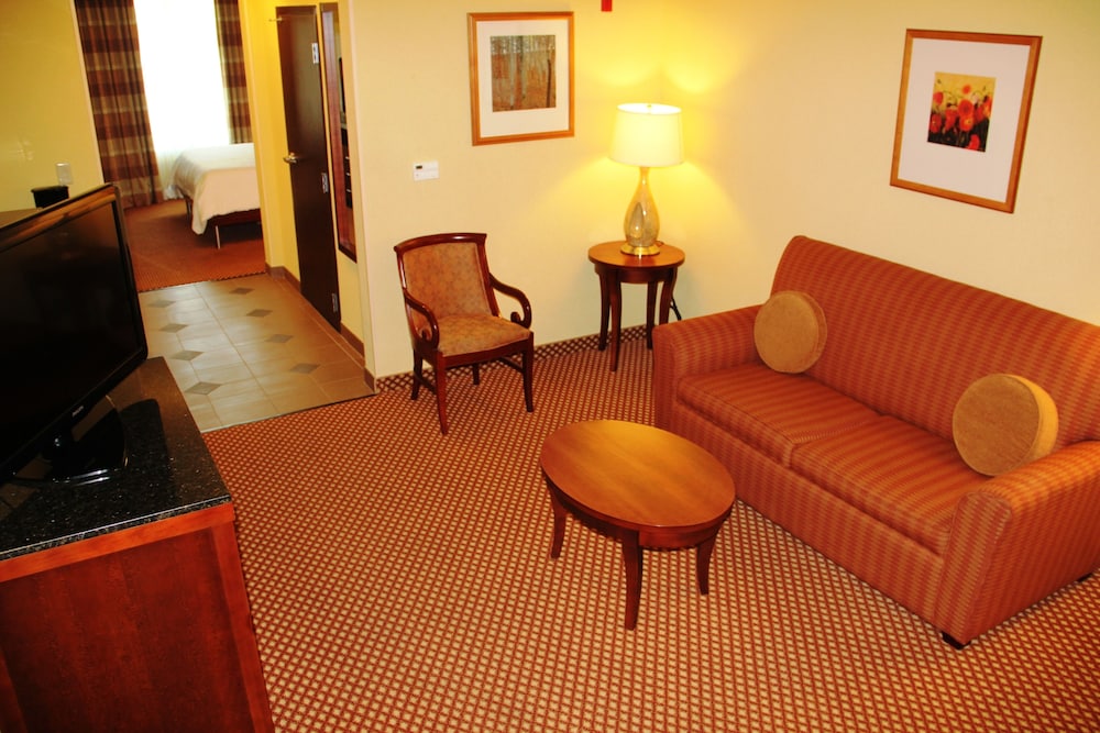 Hilton Garden Inn Houston West Katy - photo 29