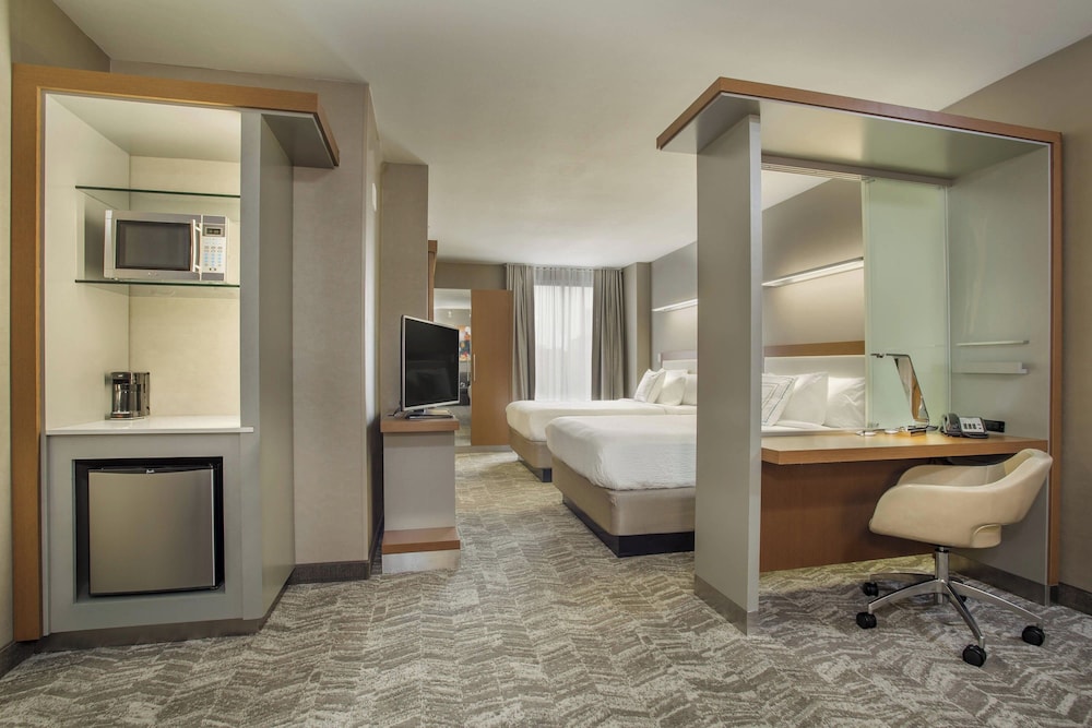 Springhill Suites By Marriott Louisville Downtown — Louisville