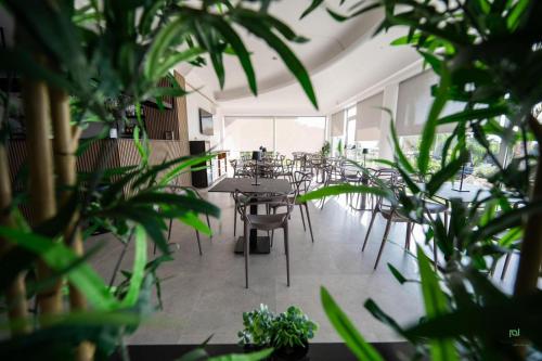 New River Hotel — Borgetto — photo 4
