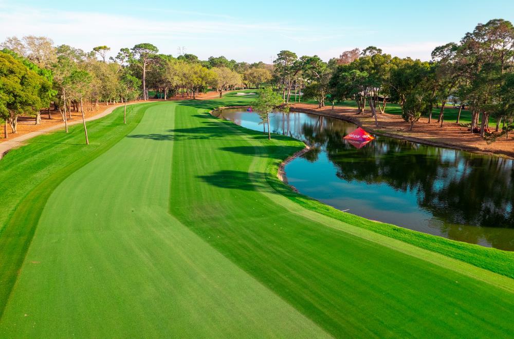 Innisbrook Resort - photo 93