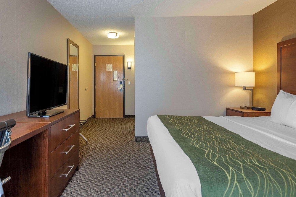 Comfort Inn Charlotte - photo 10