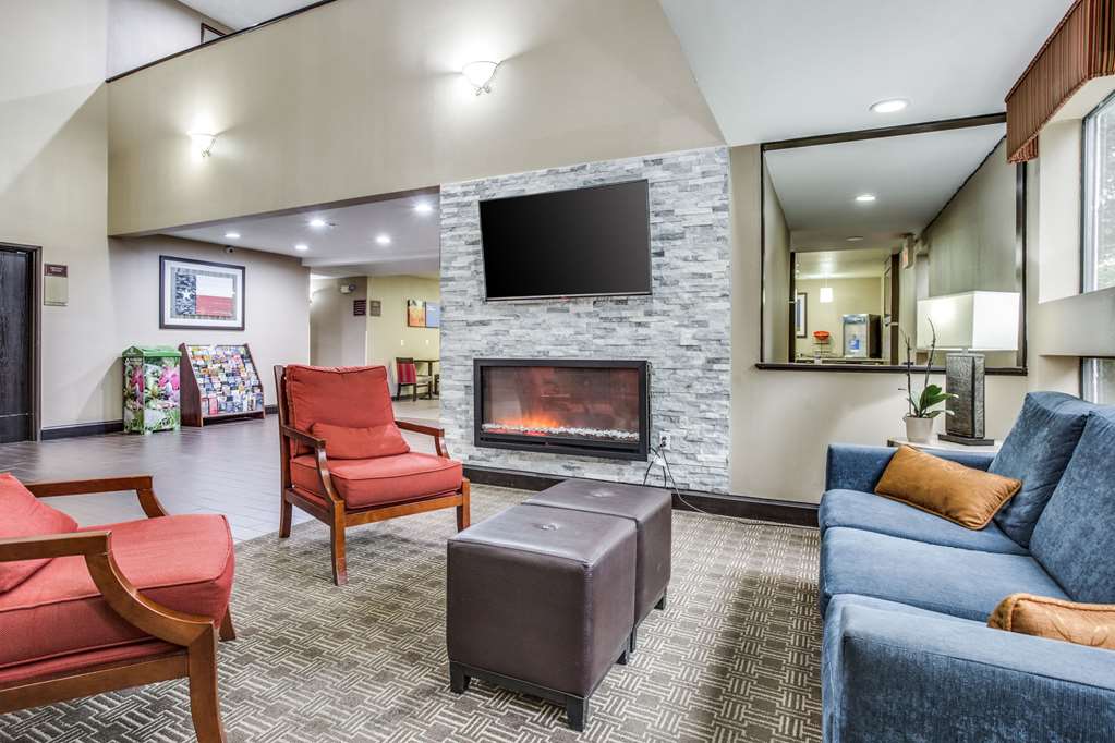 Comfort Inn & Suites Love Field Dallas Market Center - photo 8