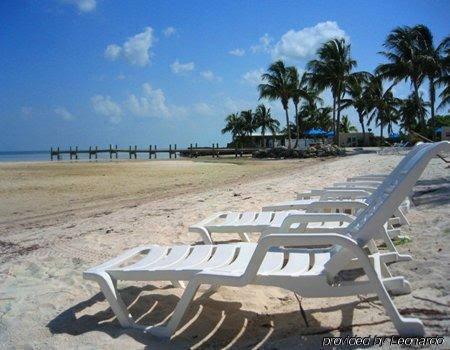 La Te Da by the Sea - photo 7