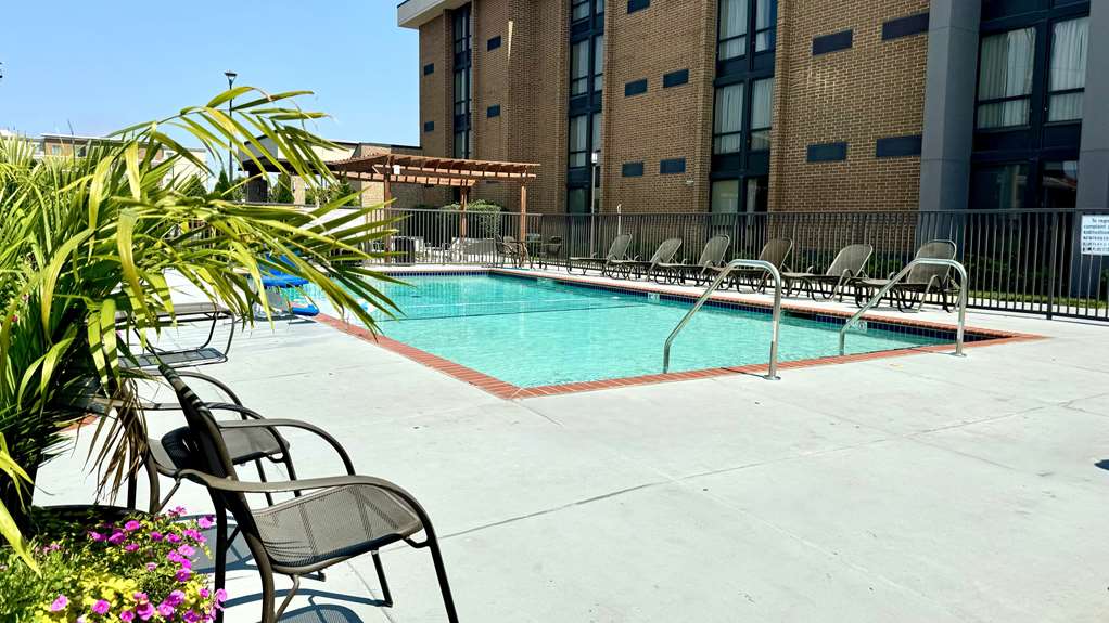 Best Western Plus St. Louis West Westport - photo 5