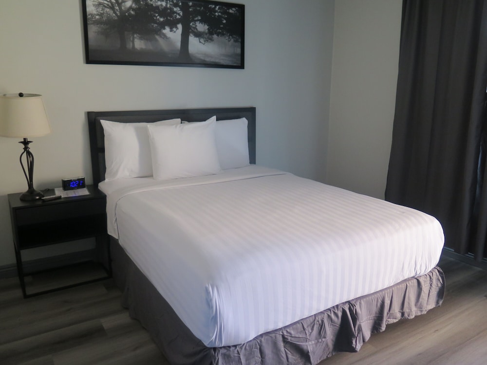 Dtla Hotel - photo 8