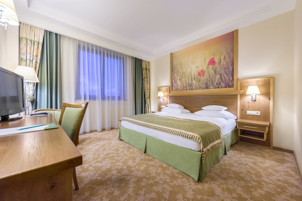Hotel Sonnenhof — Suceava — photo 5