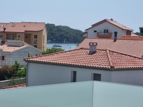 Ferienwohnung Adriaperle Villa Casper mit Whirlpool — Lopar — photo 3