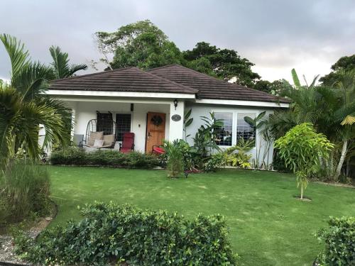 Sweet Oasis in Unknown City, Jamaica