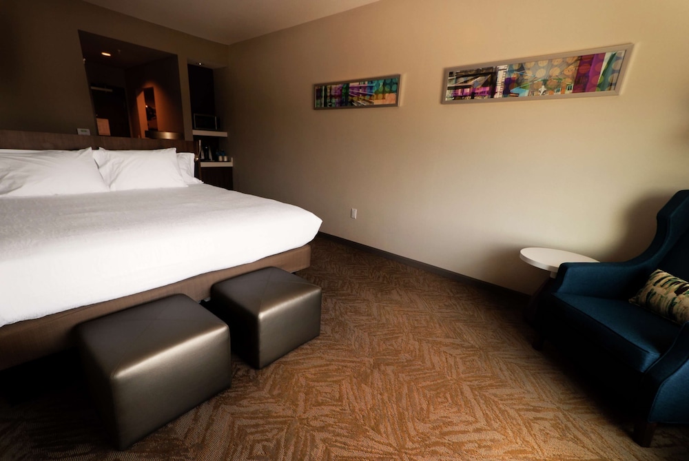 Hilton Garden Inn Dallas at Hurst Conference Center - photo 22