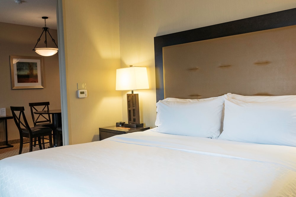 Holiday Inn Express Hotel & Suites Olathe North by IHG - photo 19