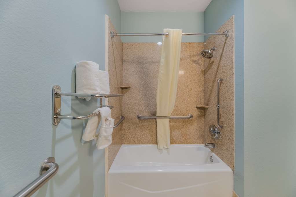 Best Western South Plains Inn & Suites - photo 30