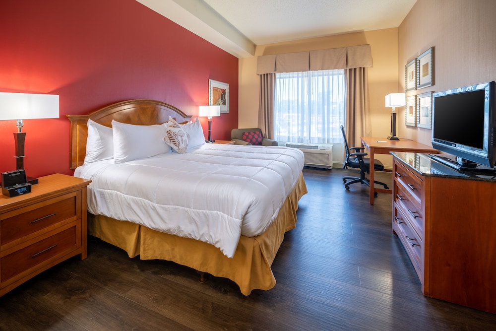 City Express by Marriott Washington DC Northeast - photo 7