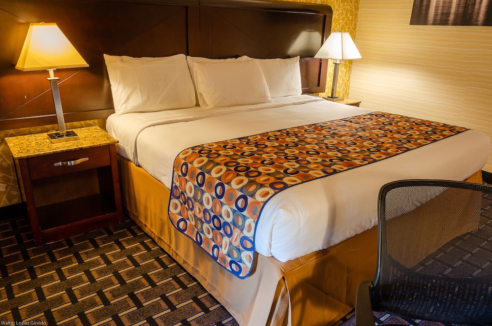 Elmhurst Hotel - photo 13