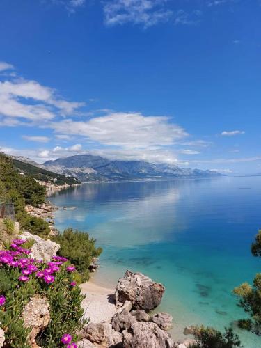 Apartmani Lučica in Unknown City, Croatia